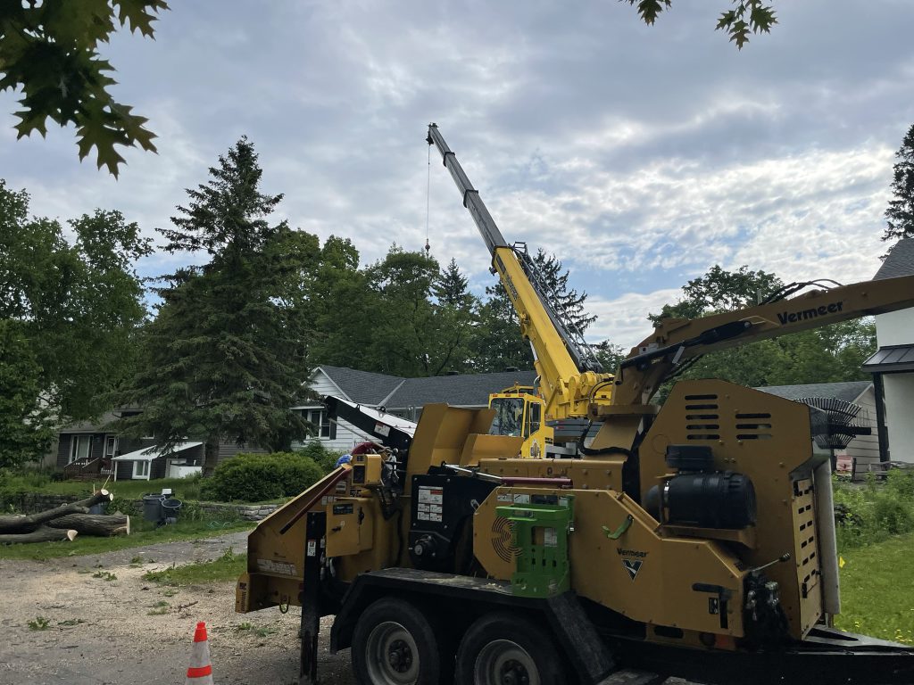 Ottawa Tree Removal