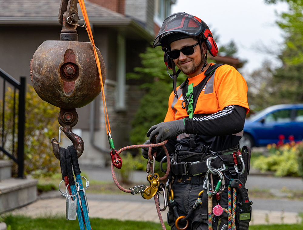 Ottawa Tree Removal